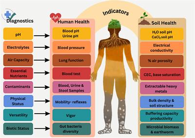 Soil health – a perspective